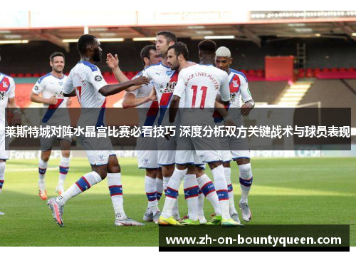 莱斯特城对阵水晶宫比赛必看技巧 深度分析双方关键战术与球员表现