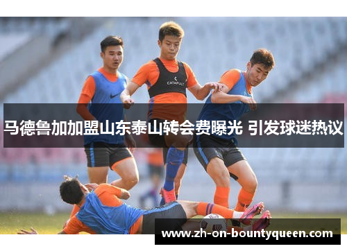 马德鲁加加盟山东泰山转会费曝光 引发球迷热议 马德鲁加加盟山东泰山转会费曝光 引发球迷热议